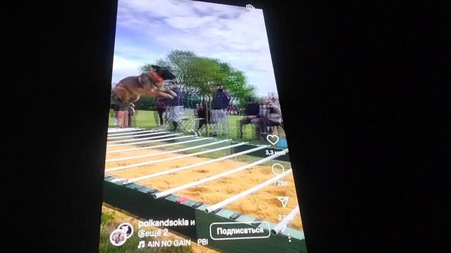 Супер собака