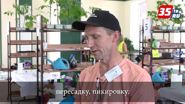 Вологодские овощеводы борются за звание лучшего по профессии
