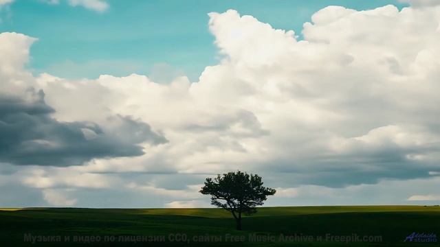 Ветер в волосах, его рука в твоей и эта волшебная мелодия - Welcome -- Fascinations Grand Chorus --