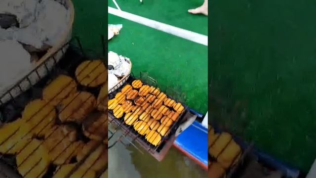 Хаусбот