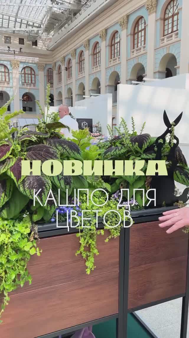Кашпо от «Красивой грядки» — спасение для тех, кто любит экспериментировать с интерьером своего сада