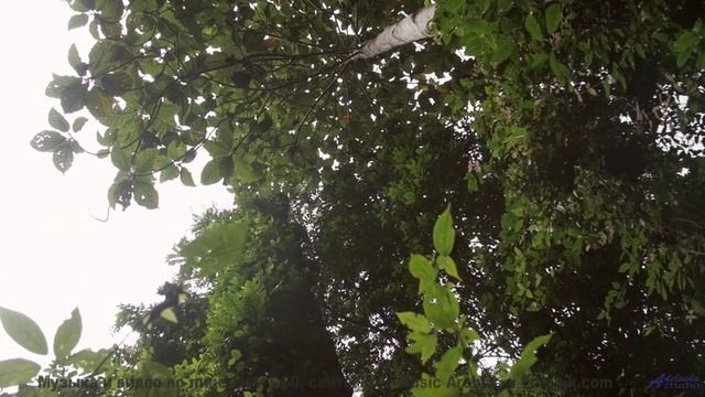 Ты НЕ СМОЖЕШЬ выключить это видео! - Leave Reminders -- Derek Clegg -- Random Calls