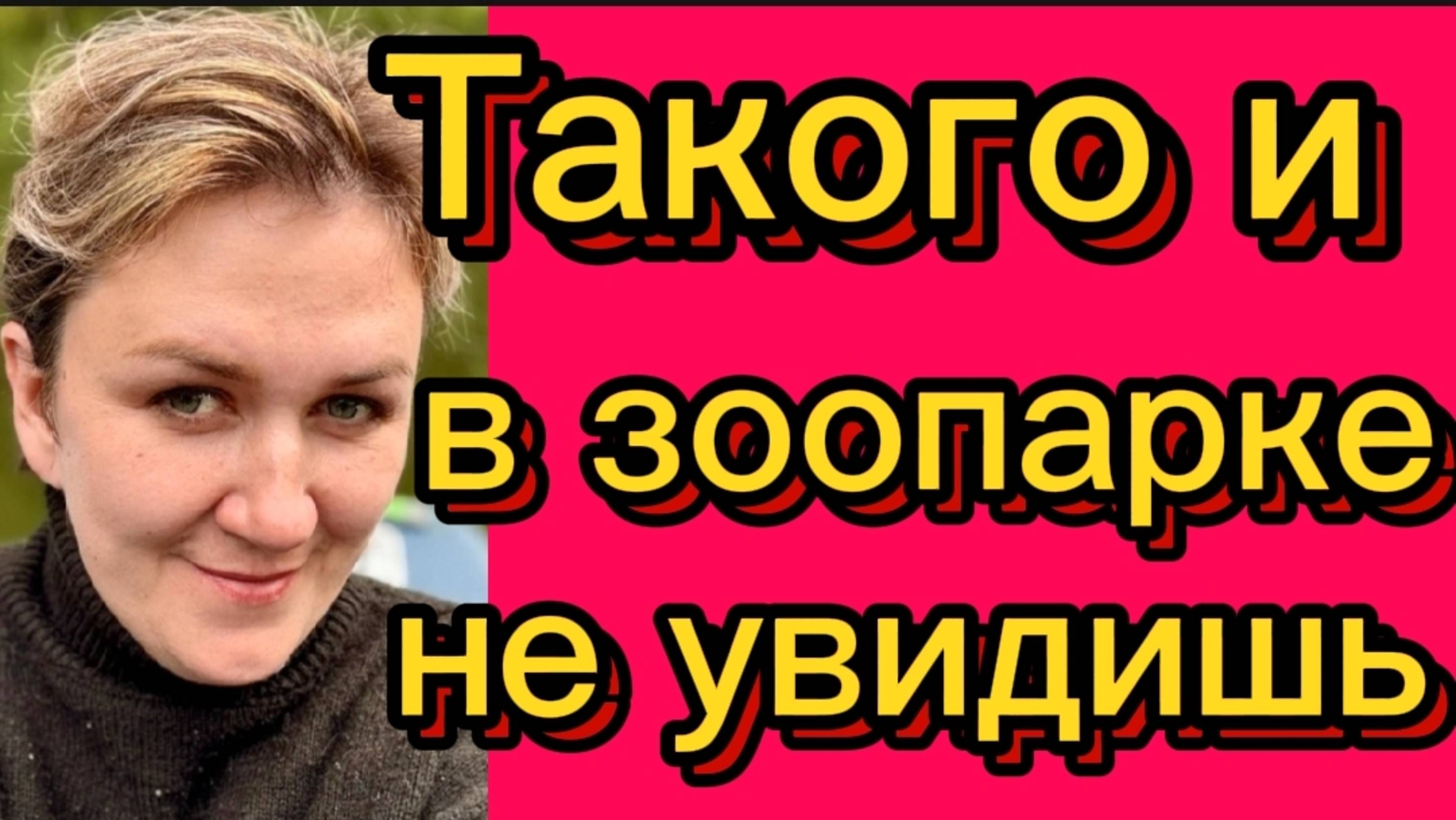 Как так можно? Деревенский дневник.