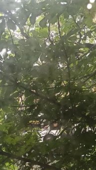 Нам выдали нормальный дождь! 16 июня 2025 г.