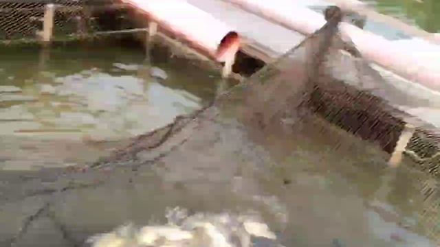 video_2025-06-17_09-54-54