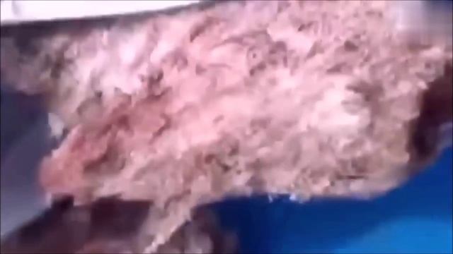 Истинная история ЧЕЛОВЕЧЕСТВА ❗ - смотреть видео онлайн от «РАССВЕТ ПРАВДЫ» в хорошем качестве, .mp4