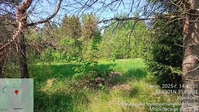 д. Крюково 50:18:0040202:574