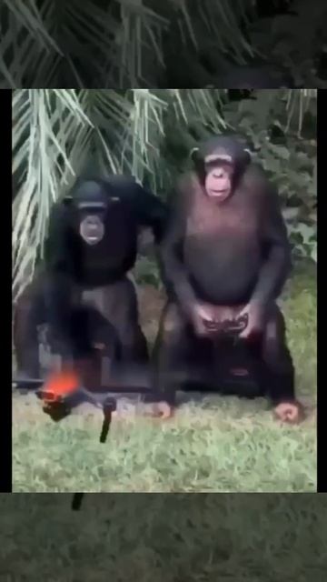 1000161307.mp4