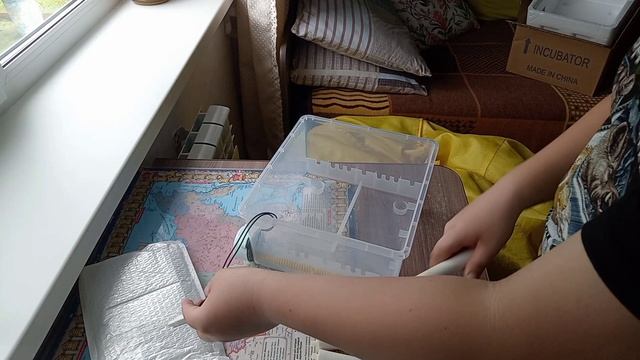 Инкубация.закладка яиц.