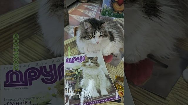 И такое бывает