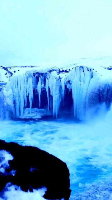 Моменты, захваченные камерой