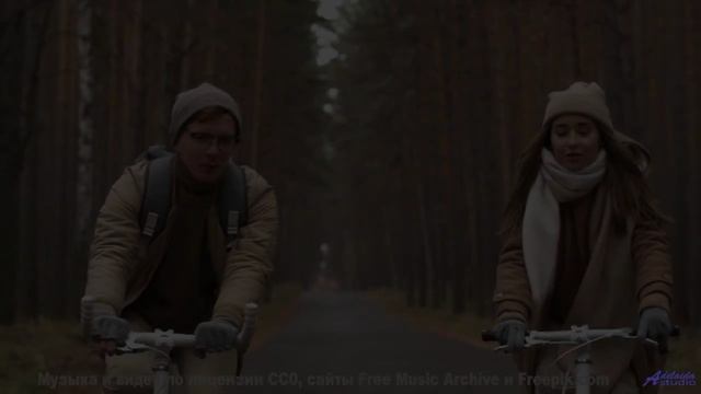 Кадры, обработанные алгоритмами будущего - ваш мозг не поверит! - A Little Shade -- HoliznaCC0 -- Lo