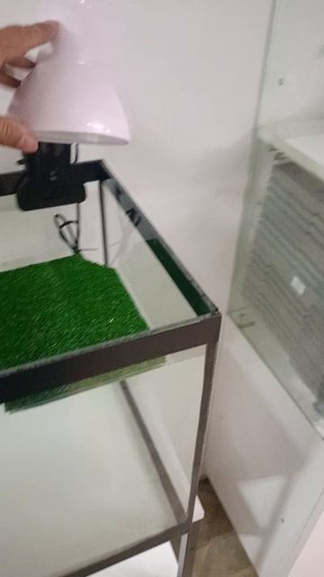 Аквариум черепашник с пластиковой крышкой