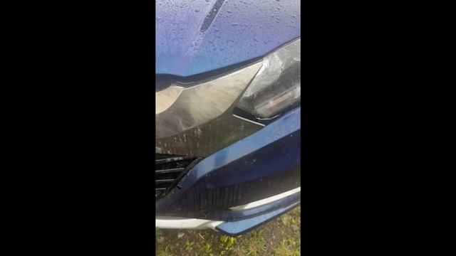 Бурый медведь прыгнул под колеса автомобиля рядом с детским лагерем