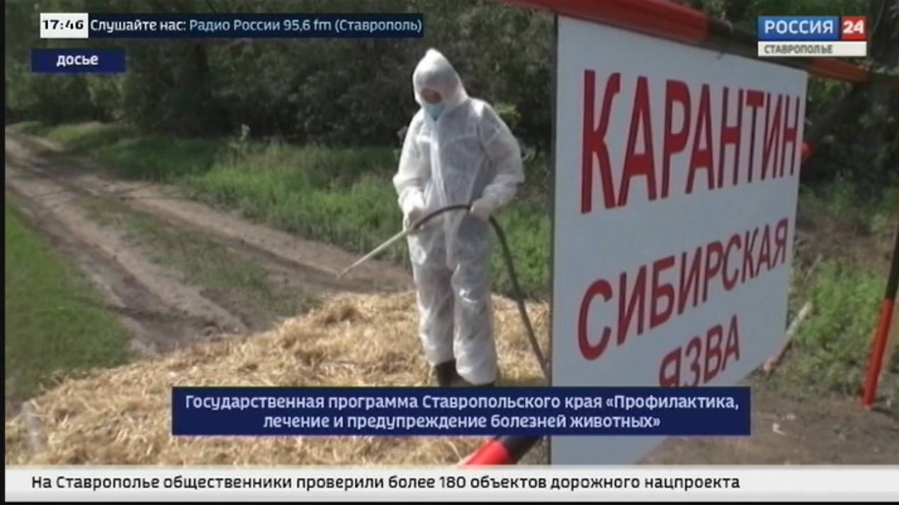 Защита здоровья и поддержка сельского хозяйства: интервью о ветеринарной программе Ставрополья