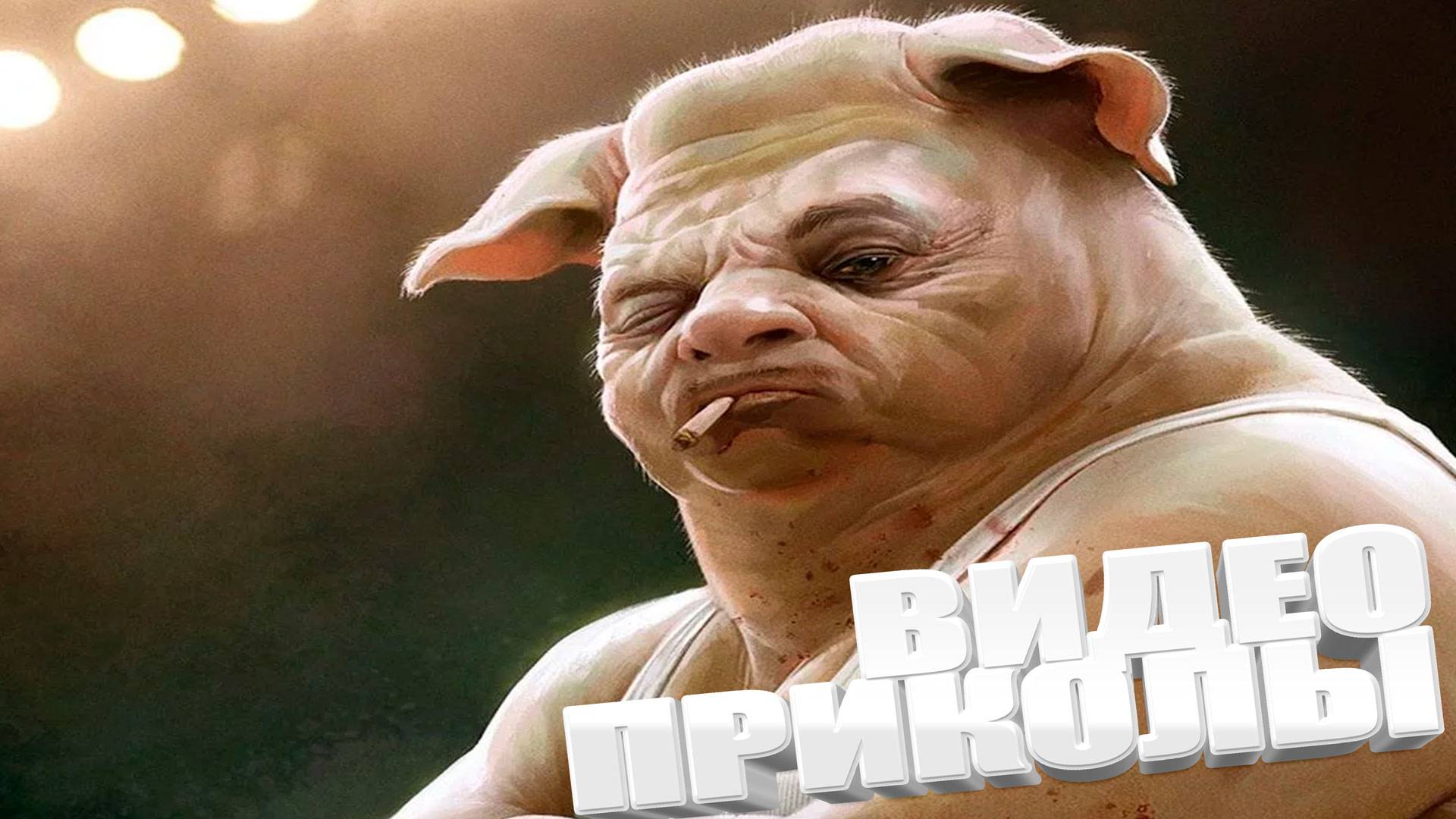 СМЕШНЫЕ ВИДЕОПРИКОЛЫ \ Подборка смешных видео и приколов \ Лучшие ПРИКОЛЫ 2025