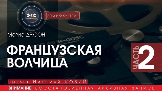 ФРАНЦУЗСКАЯ ВОЛЧИЦА - часть 2 - Морис ДРЮОН (читает Николай КОЗИЙ) | аудиокниги слушать