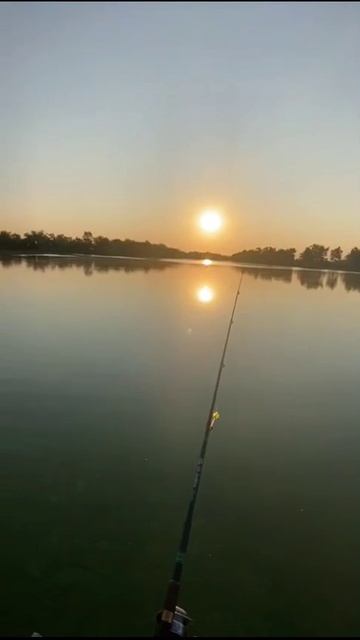 На зорьке