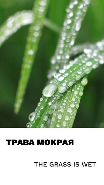 Мокрый