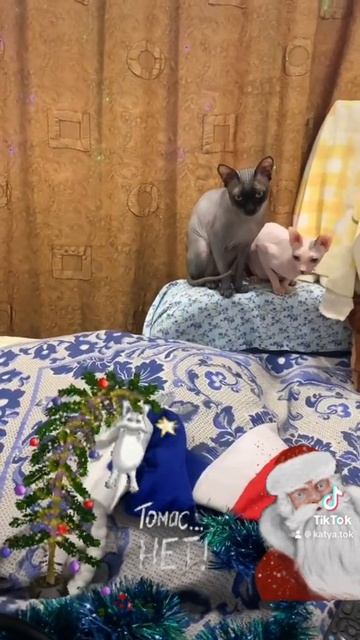 17 июля 2023 г.