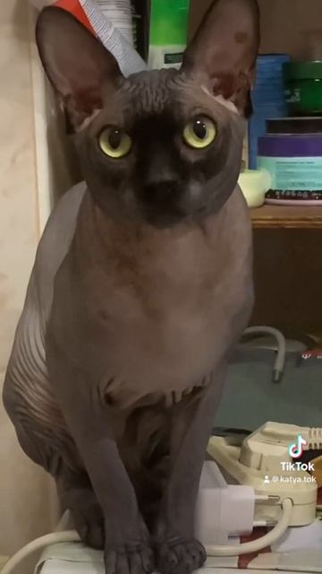 11 августа 2023 г.