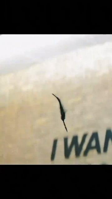 Офисный герой усыпил ОПАСНОГО наёмника (2)