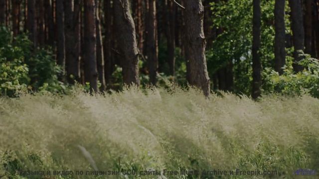 Эта песня - голос Земли! - Mans-Dem -- Shaolin Dub -- Macro Micro