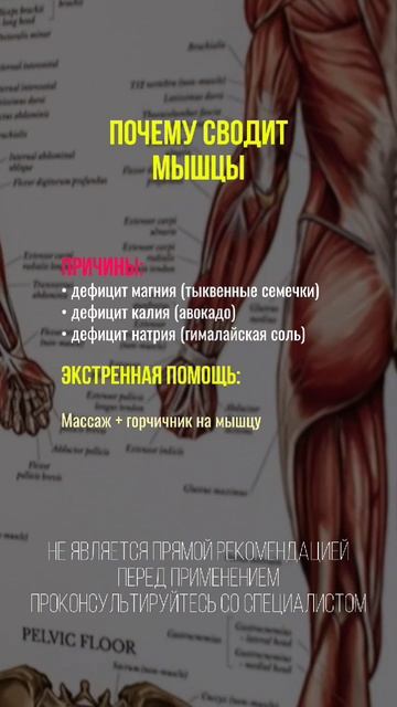 Почему сводит мышцы #здоровье #здоровье #нутрициология #натуропатия #судороги