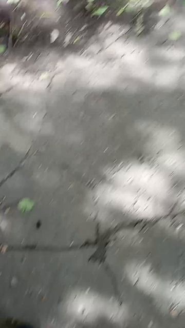 АЛИСА ВОЖАТАЯ!!!! 🤯😱