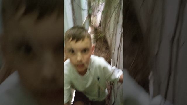 1000019910.mp4