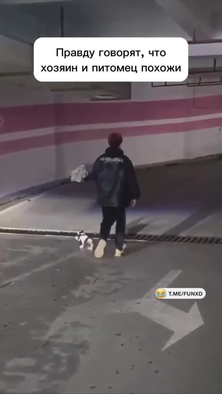 И правда похожи😆