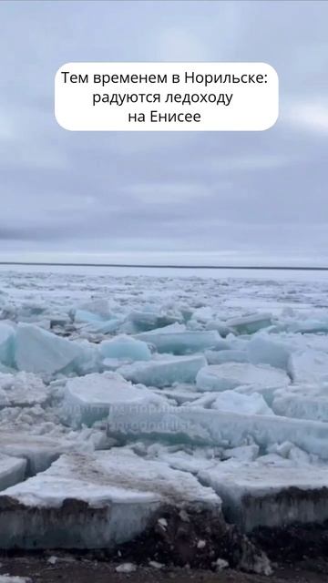 Норильские радости