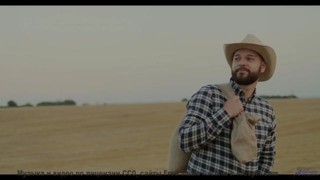 Осенний лес и тёплые аккорды! - Foggy Headed -- HoliznaCC0 -- Lo-fi And Chill
