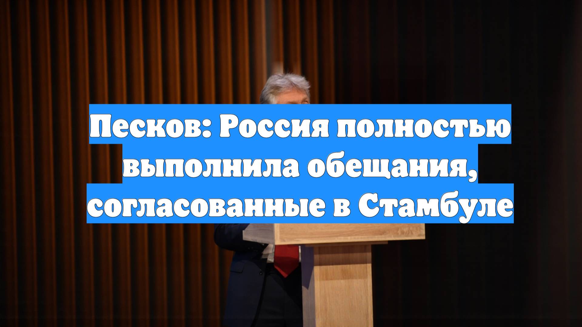 Песков: Россия полностью выполнила обещания, согласованные в Стамбуле