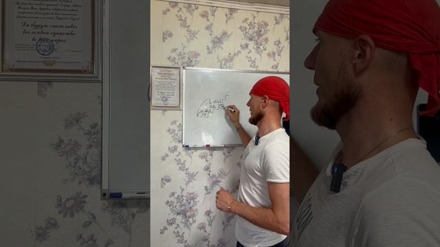 Иерархии и закон смещения в структуре РОДА