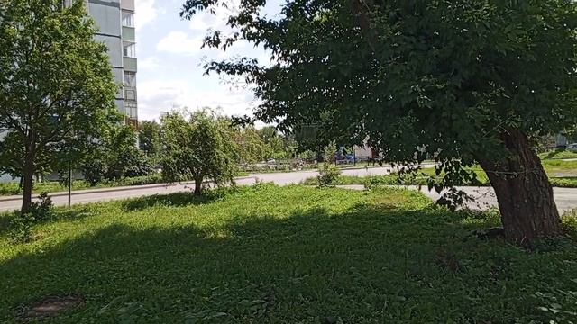 1000008828.mp4