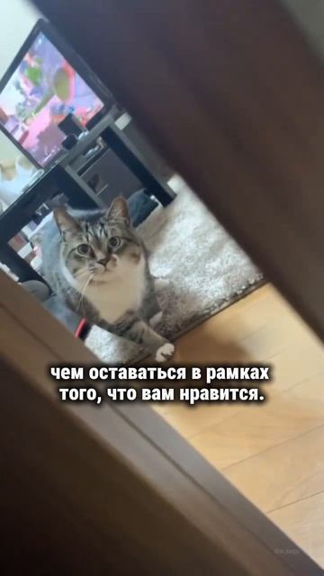 Выход из ограничений #творец  #выход_из_кризиса #ограничения