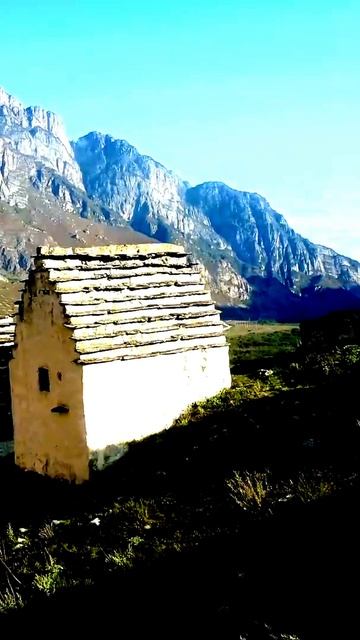 Камера поймала на удивление крутой момент