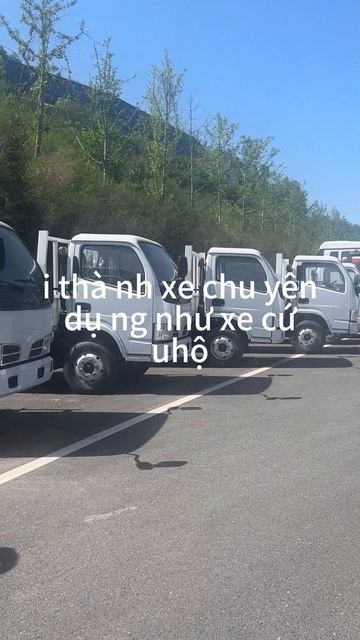 экспортные грузовики