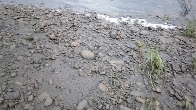 Утро всё ещё на стихийном островке