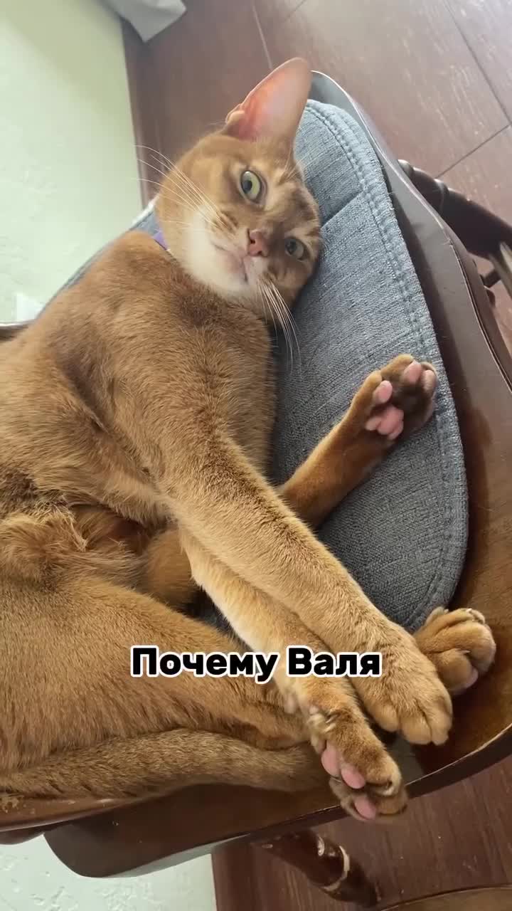 Подпишись 👉 https://vk.com/ykrasheniy_iz_kamny