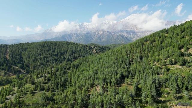 Музыка поднимает ввысь над реками и горами - Enough -- Ketsa -- Bedding