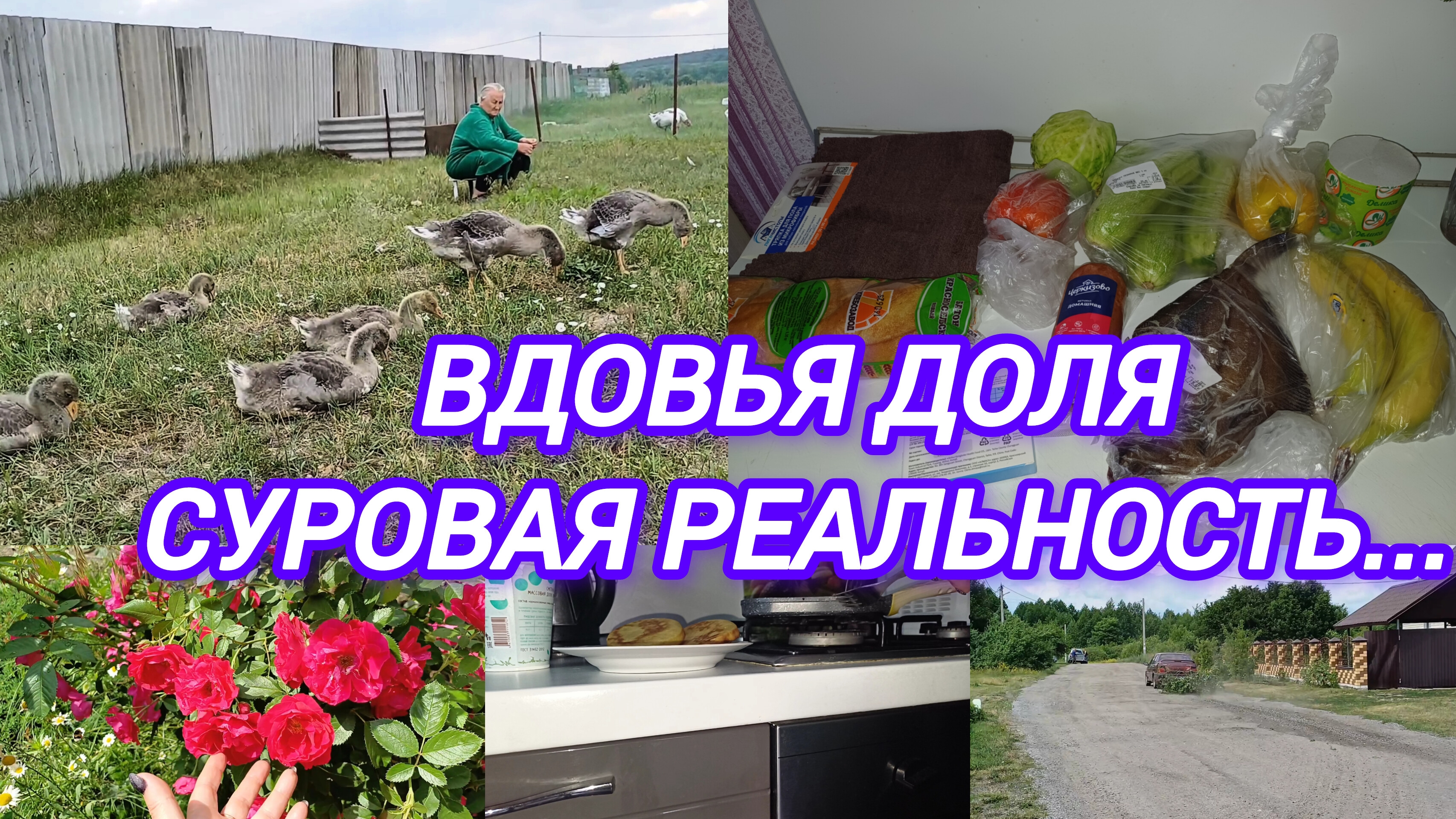 ВДОВЬЯ ДОЛЯ. СУРОВАЯ РЕАЛЬНОСТЬ...