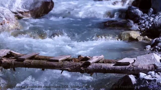Эта музыка настолько красива, что хочется плакать - I had a Wonderful Dream (ID 744) -- Lobo Loco --