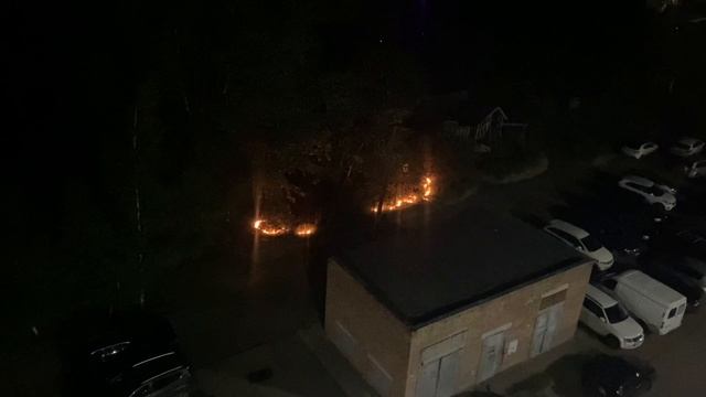 От летней метели до огненной угрозы. Тополиный пух.