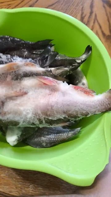 Устраиваю рыбные дни  #рыба #рыбак #fishing