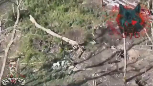 Зачистка опорника ВСУ в Купянском районе