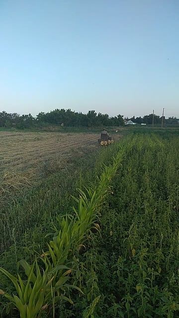 грабли солнышко для мотоблока