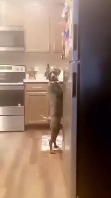 ЭЙ , Ты че там?! 😁