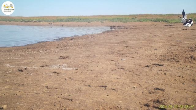 Приоткрывая заповедные двери… Степные оазисы с привкусом соли